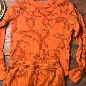 5T Snug Fit Cotton Fox Pajamas